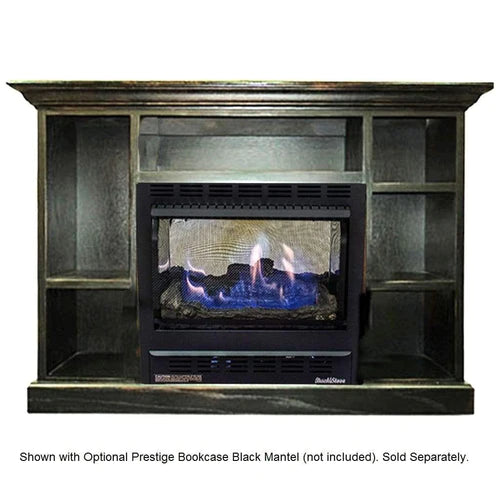 Buck Stove Model 1110 Vent Free Gas Stove - NV 11102