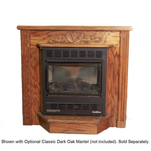 Buck Stove Model 1110 Vent Free Gas Stove - NV 11102